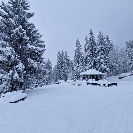 Bialy Potok Bed & Breakfast Зеленец Екстериор снимка