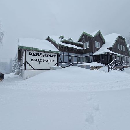 Bialy Potok Bed & Breakfast Зеленец Екстериор снимка